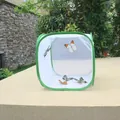 Gabbia pieghevole per farfalle in rete verde per l'osservazione di insetti all'aperto - 30x30x30 Quadrato / Verde