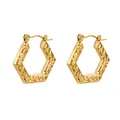 Hammered gold titanium steel hexagonal hoop earrings for women stylish jewelry piece. - Hexagonal Hollow Style (F3008-Style A)