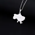 Macro shot of silver stainless steel necklace with Ukraine map and HOME engraving - HOME Lettering Map (钢色项链J) / Steel