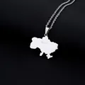 Macro detail of silver Ukraine map necklace with Kyiv engraving and star icon - Marked Map Style (钢色项链L) / Steel