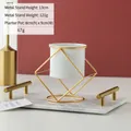 Minimalist Nordic white ceramic planter with a luxury golden geometric wire stand. - Double Square Gold Stand White