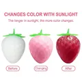 Realistic strawberry stress relief toy with sun-activated color changing feature - Light Sensitive Color Changing Strawberry Style