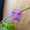 Elegant purple acetate hair claw clip featuring a creative baseball stitching pattern - Purple Tennis