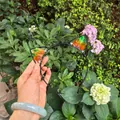 Handmade cat ear hairband with colorful electroplated crystals for party cosplay - No.99 Multicolor Gradient