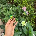 Handmade cat ear headband featuring green-yellow gradient crystal clusters for parties - No.100 Yellow-Green Gradient