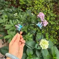 Handmade cat ear headband with colorful electroplated aura crystals for party events - No.98 Purple-Blue Gradient