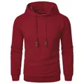 Premium bordeauxrode heren hoodie met jacquardpatroon voor fitness en vrijetijdskleding - S / Bordeauxrood
