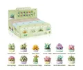 Umfangreiches 12-teiliges Sukkulenten-Blumen-Baukasten-Set mit Displaybox 3444 Teile - P1245 Sukkulenten-Kollektion