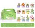 12-piece DIY miniature succulent building block plant set with green display gift box - W1503 Round Potted Succulent Plants - Gift Box Edition [set Of 12]