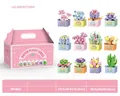 12-piece miniature succulent building block set with pink hand-held gift box packaging - W1603 Square Potted Succulent Plants - Gift Box Edition [set Of 12]