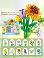 12-style flower building block set featuring sunflower and rose building models - 9093 Colorful Floral Series 2 [twelve Styles With Box Set]
