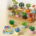 Detailed diverse succulent building block set with colorful 3D plant designs for kids - 8942 Succulent Potted Plants 3 [twelve Styles With Box Set]
