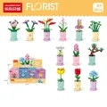 Set of 12 Zodiac themed potted flower building blocks with display box packaging - 8814 A Set Of Twelve Lucky Flowers Representing The Twelve Chinese Zodiac Animals [with Display Box]