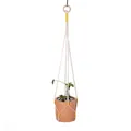 Handmade bohemian macramé cotton plant hanger with yellow accents and a natural wood ring - Yellow Wrapped Decoration Woven Style (050)
