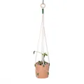 Bohemian handmade macrame plant hanger in off-white cotton rope with green accents - Green Wrapped Decoration Woven Style (052)