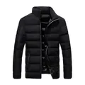 Front view detail of men's black quilted puffer jacket featuring a stand collar - M / Black