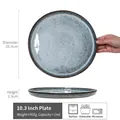 10.3 inch round ceramic dinner plate with vintage blue speckled glaze variant view - Guitang - Blue Large Plate 10.3 Inch (Minor Flaws)