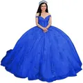 Elegant royal blue off-the-shoulder ball gown with lace appliques and full tulle skirt - XS / Top And Bottom / Royal Blue Train