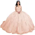 Elegante perzikroze Quinceañera-baljurk met kantapplicatie en gepofte tule rok - XS / Perzikroze Sleep