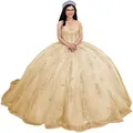 Elegant champagne gold ball gown with intricate lace embroidery and puffy tulle skirt - Champagne with Train