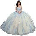 Elegant light blue ball gown prom dress with floral lace and voluminous tulle skirt - Light Blue with Train