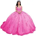 Elegant hot pink off-shoulder ball gown with puffy tulle skirt and lace details - Bright Pink with Train
