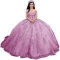 Elegant purple puffy gauze ball gown featuring sparkly lace appliques for prom events - Wisteria Purple with Train