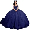 Elegant navy blue ball gown prom dress with exquisite lace appliques and tulle skirt - Navy Blue with Train