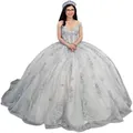 Elegant silver ball gown prom dress with sequined bodice and off-shoulder tulle skirt - Light Grey Train
