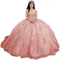 Elegant rose gold off-shoulder ball gown with puffy tulle skirt and lace applique detail - Dusty Rose Train
