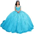 Light blue off-shoulder ball gown with tulle lace embroidery - Lake Blue with Train