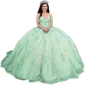 Elegant mint green ball gown evening dress with intricate lace floral embroidery details - Light Green with Train