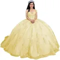 Elegant yellow ball gown evening dress with lace embroidery and fluffy gauze skirt - Light Yellow Train