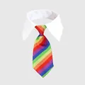 Stijlvolle regenboog gestreepte stropdas met witte kraag voor katten en honden feest - L / Regenboog