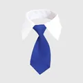 Formal blue pet necktie with adjustable white shirt collar for cats and small dogs - Blue