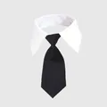 Formal black pet necktie with white shirt collar for cats and small dogs gentleman style - Black