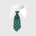 Green plaid pet necktie with white collar for cats and small dogs fashion - Green Black Grid