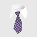 Formal purple plaid pet tie featuring a white gentleman collar for cats and small dogs - Scottish Style Purple Plaid