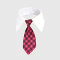 Formal red and black plaid pet tie with white shirt collar for cats and small dogs - Red and Black Plaid