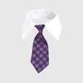Pet collar accessory featuring a classic purple and black checkered necktie for cats - Purple Black Plaid