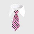 Pink and black plaid pet tie with adjustable white shirt collar for cats and dogs - Scottish Style Pink Plaid