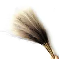 55cm faux pampas grass bouquet with gradient brown and cream plumes for boho decor - 53-55cm / Beige Brown Gradient