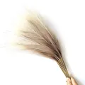 Premium 55cm artificial pampas grass plumes in natural beige for boho home wedding decor - 53-55cm / Beige Brown Gradient