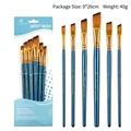 Professional 6-piece blue handle angled artist paint brush set for acrylic and oil - 6Pcs Angled Peak HB011D / Blue