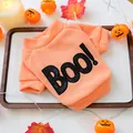 Close-up of orange Halloween pet sweater with "BOO!" glitter embroidery detail. - Orange Crewneck (Boo!)