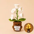 Handmade crochet lily of the valley plant with emotional support card and warm lights - Lily of the Valley with Light - White