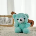 Petit porte-clés ours en peluche vert menthe pour décoration de sac et accessoires - Env. 10cm / Vert Menthe