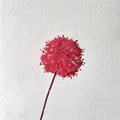 Rose red artificial pom-pom flower stem for elegant wedding and home decor SKU variant. - Magenta Allium Ball
