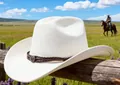 Cremefarbener Western-Cowboyhut mit breiter Krempe und geflochtenem Band für Outdoor - M(56-59CM) / Reinweiß