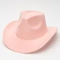 Classic pink suede western cowboy hat with a rolled brim and vintage riding style. - Pink